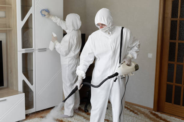 Mold Testing and Removal in New Brunswick, NJ
